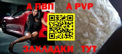 индика Гай