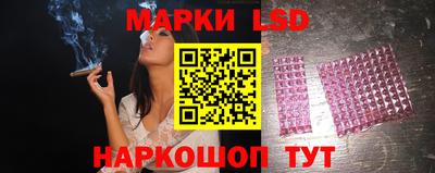 индика Гай