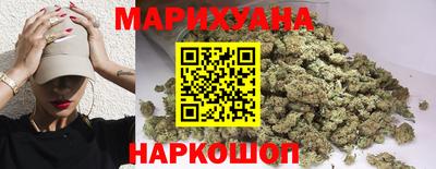 индика Гай