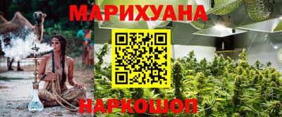 прущие грибы Гатчина