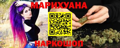 прущие грибы Гатчина