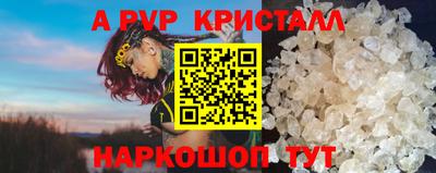 индика Гай