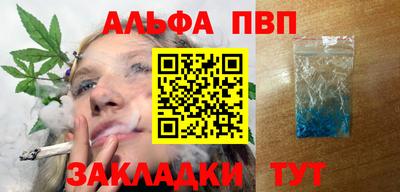 индика Гай