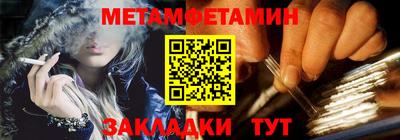 прущие грибы Гатчина