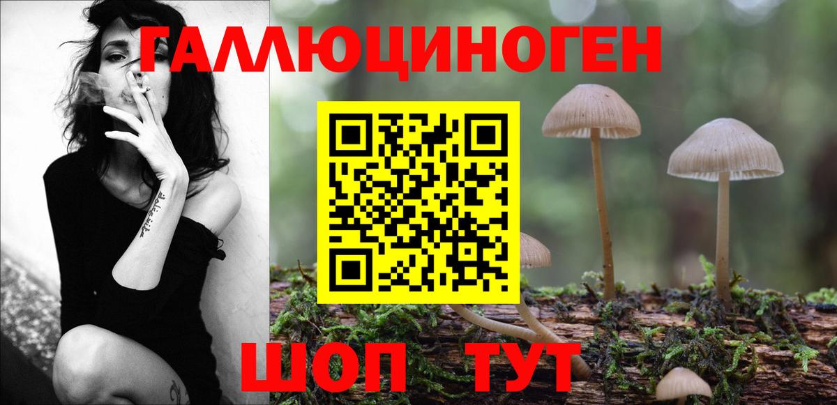 Назрань  Псилоцибиновые грибы MAGIC MUSHROOMS  Галлюциногенные грибы прущие грибы  Вход с VPN 